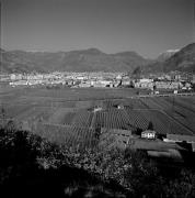 Obstbaum/Obst (Positivo) di de Vries, Gideon (1998/01/26 - 1998/01/26)