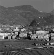 Obstbaum/Obst (Positivo) di de Vries, Gideon (1998/01/26 - 1998/01/26)