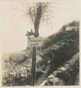 Beruf (Positivo) di Pokorny, Bruno (1926/01/01 - 1978/12/31)