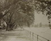 Straße (Positivo) (1890/01/01 - 1894/12/31)