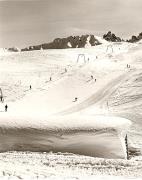 Skifahrer (Positivo) di Foto Fuchs-Hauffen, Überlingen (1960/01/01 - 1989/12/31)