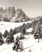 Schneefelder (Positivo) di Foto Fuchs-Hauffen, Überlingen (1960/01/01 - 1989/12/31)