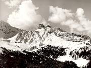 Nadelwald (Positivo) di Foto Fuchs-Hauffen, Überlingen (1960/01/01 - 1989/12/31)