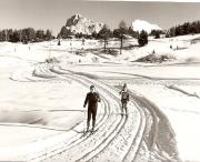 Wintersport, Langläufer (Positivo) di Foto Fuchs-Hauffen, Überlingen (1960/01/01 - 1989/12/31)