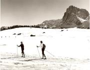 Wintersport, Langläufer (Positivo) di Foto Fuchs-Hauffen, Überlingen (1960/01/01 - 1989/12/31)