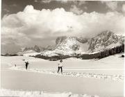 Wintersport, Langläufer (Positivo) di Foto Fuchs-Hauffen, Überlingen (1960/01/01 - 1989/12/31)