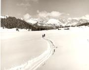 Wintersport, Langläufer (Positivo) di Foto Fuchs-Hauffen, Überlingen (1960/01/01 - 1989/12/31)