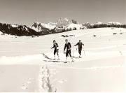 Wintersport, Langläufer (Positivo) di Foto Fuchs-Hauffen, Überlingen (1960/01/01 - 1989/12/31)