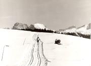 Wintersport, Langläufer (Positivo) di Foto Fuchs-Hauffen, Überlingen (1960/01/01 - 1989/12/31)