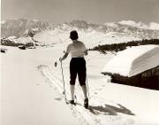 Almhütte Seiser Alm (Positivo) di Foto Fuchs-Hauffen, Überlingen (1960/01/01 - 1989/12/31)