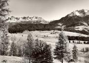 Motiv: Sommer (Positivo) di Foto Fuchs-Hauffen, Überlingen (1960/01/01 - 1989/12/31)