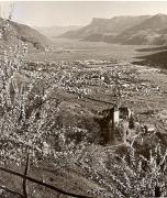 Schloss Tirol (Positivo) di Foto Fuchs-Hauffen, Überlingen (1950/01/01 - 1969/12/31)
