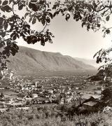 Laubbaum (Positivo) di Foto Fuchs-Hauffen, Überlingen (1950/01/01 - 1969/12/31)