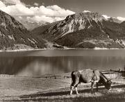 chiesa (Positivo) di Foto Fuchs-Hauffen, Überlingen (1950/01/01 - 1969/12/31)