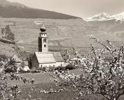 chiesa (Positivo) di Foto Fuchs-Hauffen, Überlingen (1950/01/01 - 1969/12/31)