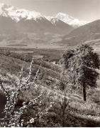 Motiv: Frühling (Positivo) di Foto Fuchs-Hauffen, Überlingen (1950/01/01 - 1969/12/31)