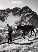 uomo (Positivo) di Foto Wenzel Fischer, Garmisch (1950/01/01 - 1969/12/31)