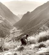 uomo (Positivo) di Foto Fuchs-Hauffen, Überlingen (1950/01/01 - 1969/12/31)