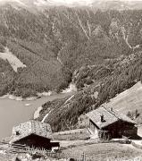 Nadelwald (Positivo) di Foto Fuchs-Hauffen, Überlingen (1950/01/01 - 1969/12/31)