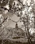 Kirche Tirol Dorf Pfarrkirche Hl. Johannes (Positivo) di Foto Fuchs-Hauffen, Meran (1950/01/01 - 1969/12/31)