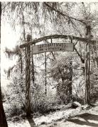 Lärche (Positivo) di Foto Fuchs-Hauffen, Meran (1950/01/01 - 1969/12/31)