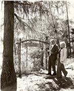 Lärche (Positivo) di Foto Fuchs-Hauffen, Meran (1950/01/01 - 1969/12/31)