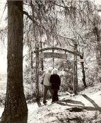 Lärche (Positivo) di Foto Fuchs-Hauffen, Meran (1950/01/01 - 1969/12/31)