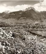 Panorama (Positivo) di Foto Fuchs-Hauffen, Meran (1950/01/01 - 1969/12/31)