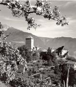 Schloss Tirol (Positivo) di Foto Fuchs-Hauffen, Meran (1950/01/01 - 1969/12/31)