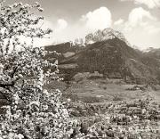 Panorama (Positivo) di Foto Fuchs-Hauffen, Meran (1950/01/01 - 1969/12/31)