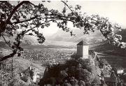 Schloss Tirol (Positivo) di Bährendt, Leo (1950/01/01 - 1969/12/31)