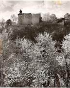 Schloss Zenoburg (Dorf Tirol) (Positivo) di Foto Fuchs-Hauffen, Überlingen (1950/01/01 - 1969/12/31)