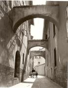 donna (Positivo) di Foto Fuchs-Hauffen, Überlingen (1950/01/01 - 1969/12/31)