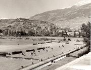 cavallo (Positivo) di Foto Fuchs-Hauffen, Überlingen (1950/01/01 - 1969/12/31)