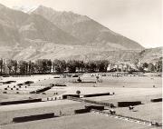 cavallo (Positivo) di Foto Fuchs-Hauffen, Überlingen (1950/01/01 - 1969/12/31)
