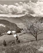 Motiv: Frühling (Positivo) di Foto Fuchs-Hauffen, Überlingen (1950/01/01 - 1969/12/31)