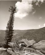 Bauernhof Sarntal (Positivo) di Foto Fuchs-Hauffen, Überlingen (1950/01/01 - 1969/12/31)