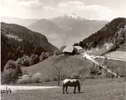 Motiv: Frühling (Positivo) di Foto Fuchs-Hauffen, Überlingen (1950/01/01 - 1969/12/31)