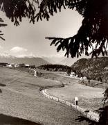 Motiv: Frühling (Positivo) di Foto Fuchs-Hauffen, Überlingen (1950/01/01 - 1969/12/31)