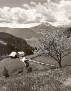 Bauernhof Hafling (Positivo) di Foto Fuchs-Hauffen, Überlingen (1950/01/01 - 1969/12/31)