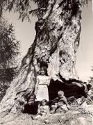 donna (Positivo) di Foto Fuchs-Hauffen, Überlingen (1950/01/01 - 1969/12/31)