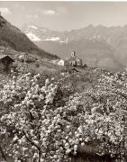 chiesa (Positivo) di Foto Fuchs-Hauffen, Überlingen (1950/01/01 - 1969/12/31)