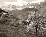 chiesa (Positivo) di Foto Fuchs-Hauffen, Überlingen (1950/01/01 - 1969/12/31)