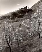 Schloß Lebenberg (Tscherms) (Positivo) di Foto Fuchs-Hauffen, Überlingen (1950/01/01 - 1969/12/31)