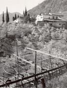 Bauernhof Basling bei Tscherms (Positivo) di Foto Löbl, Bad Tölz/Oberbayern (1950/01/01 - 1969/12/31)