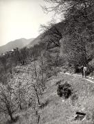 Promenade (Positivo) di Foto Löbl, Bad Tölz/Oberbayern (1950/01/01 - 1969/12/31)