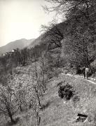 Schloß Fahlburg (Tisens) (Positivo) di Foto Hermann Frass, Bozen (1950/01/01 - 1969/12/31)
