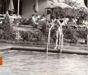 piscina (Positivo) di Foto Tappeiner, Meran (1950/01/01 - 1969/12/31)