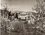 Motiv: Frühling (Positivo) di Foto Fuchs-Hauffen, Überlingen (1950/01/01 - 1969/12/31)
