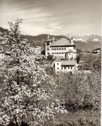 Motiv: Frühling (Positivo) di Foto Fuchs-Hauffen, Überlingen (1950/01/01 - 1969/12/31)